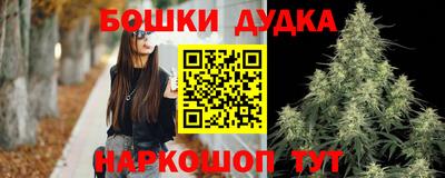 spice Кинель