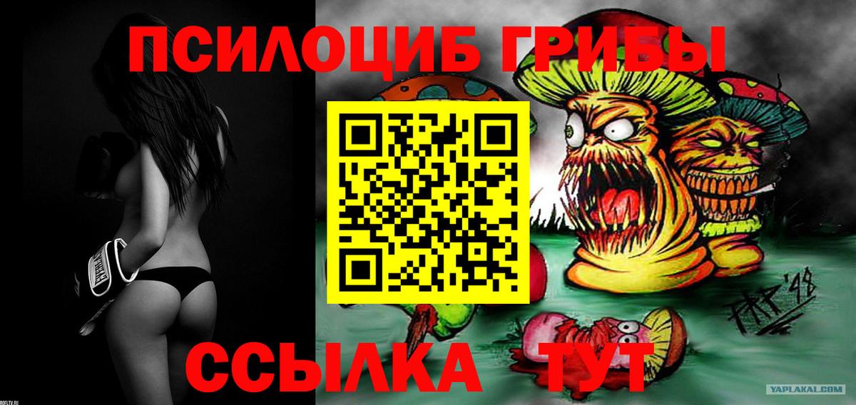 Кропоткин  Псилоцибиновые грибы Psilocybine cubensis  Вход с VPN  Галлюциногенные грибы Magic Shrooms 